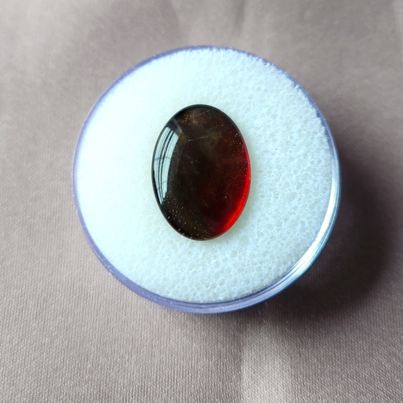 AMMOLITE - Picture 4 of 5